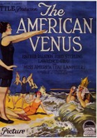 plakat filmu Amerykańska Wenus