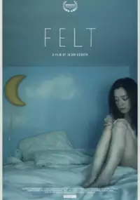 Plakat filmu Felt