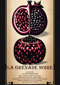 Plakat filmu La grenade noire