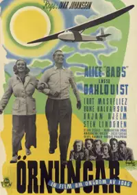 Plakat filmu Örnungar