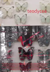 Plakat filmu Teodycea