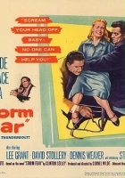 plakat filmu Storm Fear