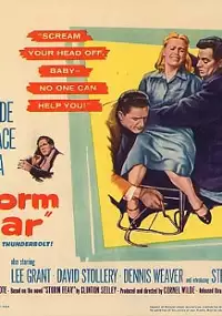 Plakat filmu Storm Fear