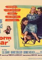 plakat filmu Storm Fear