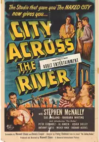 Plakat filmu City Across the River