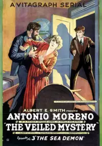 Plakat filmu The Veiled Mystery