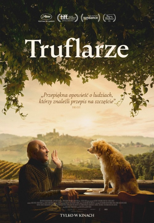 www.filmweb.pl