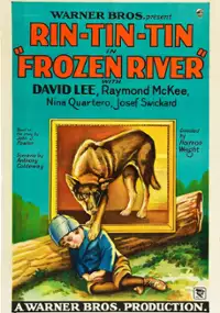 Plakat filmu Frozen River