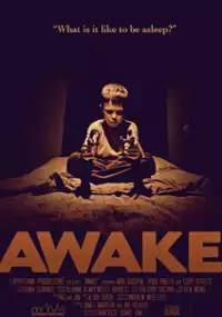 Plakat filmu Awake