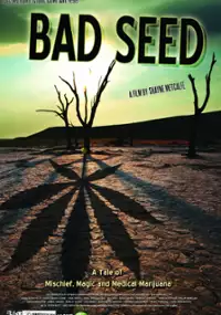 Plakat filmu Bad Seed: A Tale of Mischief, Magic and Medical Marijuana