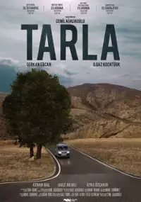 Plakat filmu Tarla