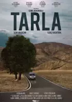plakat filmu Tarla
