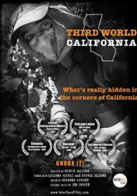 Plakat filmu Third World California