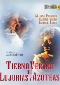 Plakat filmu Tierno verano de lujurias y azoteas