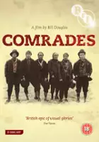 William Gaminara / Towarzysze