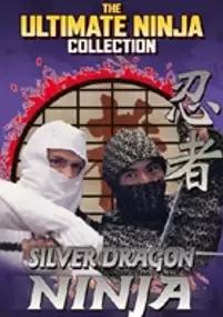 Plakat filmu Silver Dragon Ninja
