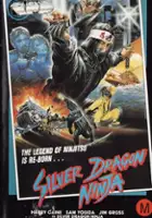 Ann McDonald / Silver Dragon Ninja