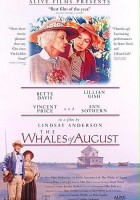 plakat filmu Sierpniowe wieloryby