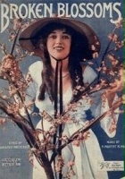 plakat filmu Złamana lilia