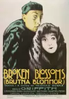 Karla Schramm / Złamana lilia