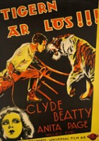 plakat filmu Wielka klatka