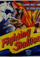plakat filmu The Fighting Stallion