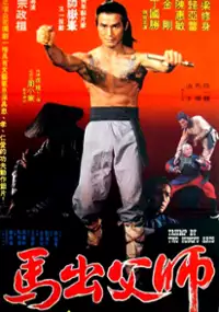 Plakat filmu Lang zi di shi san