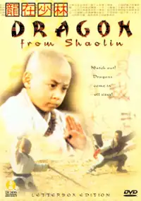 Plakat filmu Long Zai Shaolin