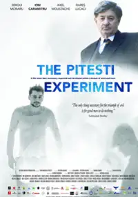 Plakat filmu Experimentul Pitesti