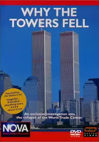 Plakat filmu Why the Towers Fell