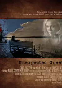 Plakat filmu Unexpected Guest
