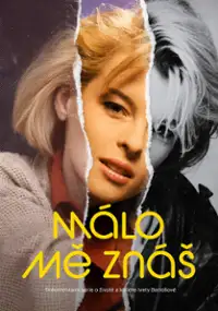 Plakat serialu M&aacute;lo mě zn&aacute;&scaron;
