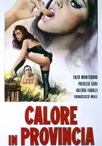 Plakat filmu Calore in provincia