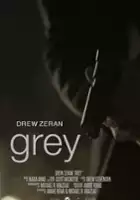 plakat filmu Grey