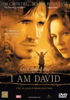 Krasimir Kutzoparov / Odnaleźć przeznaczenie