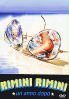 plakat filmu Rimini, Rimini - rok później