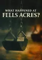plakat filmu Co się wydarzyło w przedszkolu Fells Acres?