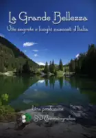 plakat serialu La grande bellezza