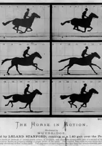 Plakat filmu Sallie Gardner at a Gallop