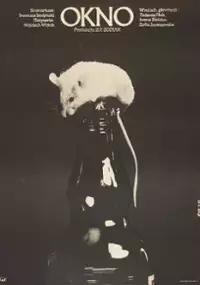 Plakat filmu Okno