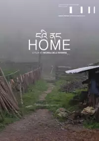 Plakat filmu Home