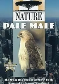 Plakat filmu Pale Male