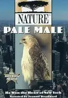 Dr. Alexander Fisher / Pale Male