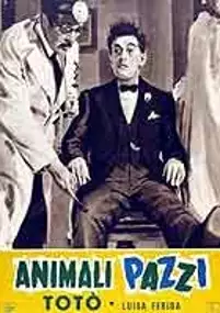 Plakat filmu Animali pazzi