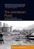 plakat filmuThe Johnstown Flood