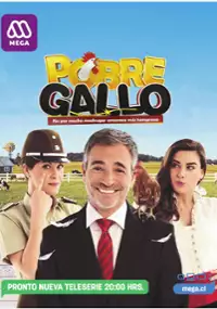 Plakat serialu Pobre gallo