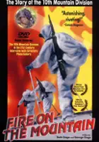 David Brower / Fire on the Mountain