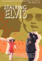 Noel Palacios / Stalking Elvis