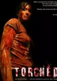Plakat filmu Torched