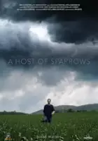 Kevin Alexander Boon / A Host of Sparrows